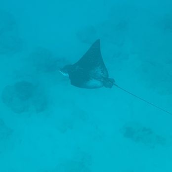 Holokai Catamaran - Boating Near Me - Honolulu, Hawaii