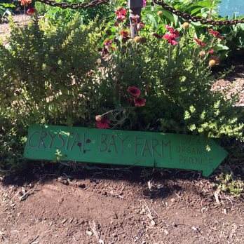 Crystal Bay Farm - Fruits & Veggies Near Me - Watsonville, California Crystal Bay Farm - Fruits & Veggies Near Me - Watsonville, California
