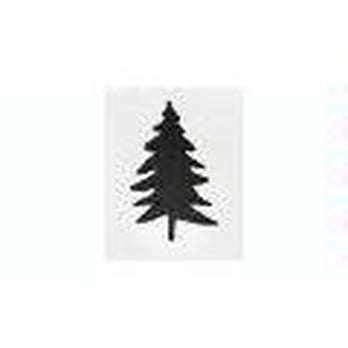 Blue Spruce Home Care - Home Health Care Near Me - Denver, Colorado Blue Spruce Home Care - Home Health Care Near Me - Denver, Colorado