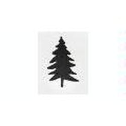 Blue Spruce Home Care