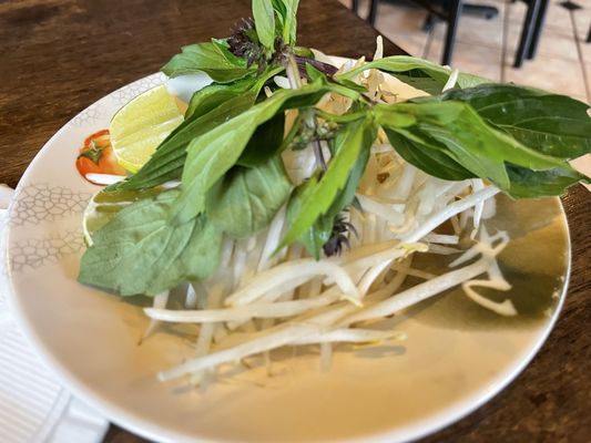 Pho Deluxe Tysons by null