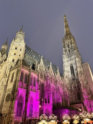 St. Stephen's Cathedral by null