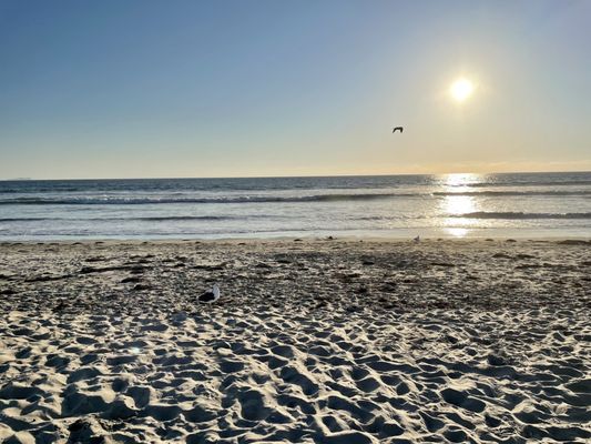 Silver Strand by null