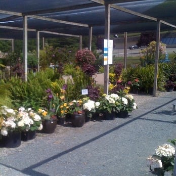 Lisa Arnold Nursery Sales - Nurseries & Gardening Near Me - Sunol, California Lisa Arnold Nursery Sales - Nurseries & Gardening Near Me - Sunol, California