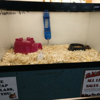 Whitie's Pets - Local Fish Stores Near Me - Fresno, California Whitie's Pets - Local Fish Stores Near Me - Fresno, California