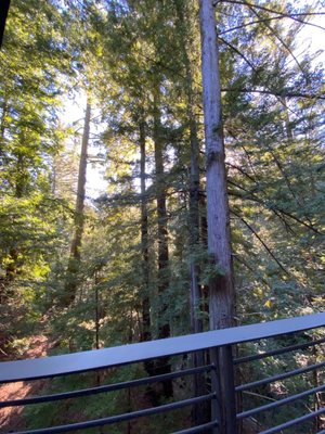 Canyon Ranch Woodside by null