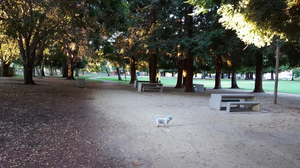 WOODCREEK PARK Updated September 2024 1470 Astoria Dr, Fairfield