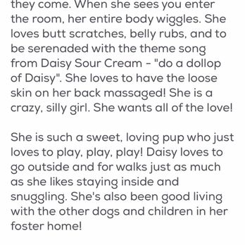 Lost Dog and Cat Rescue Foundation - Daisys ad that mentions nothing of her aggressive behavior or that she had 24/7 yard access - Animal Shelters Near Me Lost Dog and Cat Rescue Foundation - Daisys ad that mentions nothing of her aggressive behavior or that she had 24/7 yard access - Animal Shelters Near Me