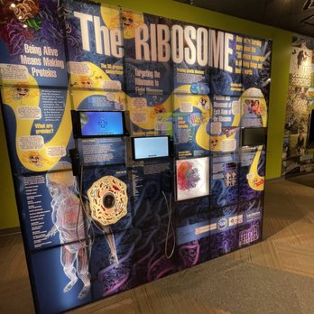 Bradbury Science Museum - Museums Near Me - Los Alamos, New Mexico
