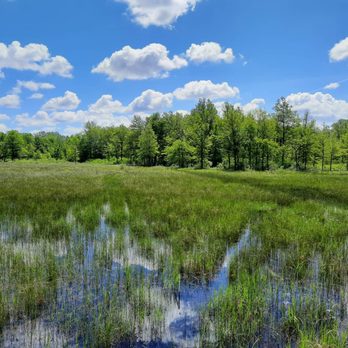 Irwin Prairie State Nature Preserve - Beautiful day - Parks Near Me - Lucas, Ohio Irwin Prairie State Nature Preserve - Beautiful day - Parks Near Me - Lucas, Ohio