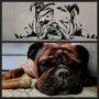 Photo of PAWsitive Stay by Heather Grimes