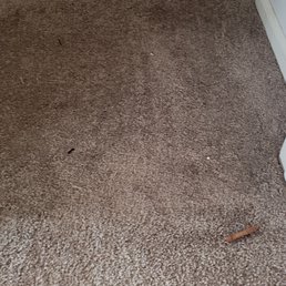 Not vacuumed Not vacuumed