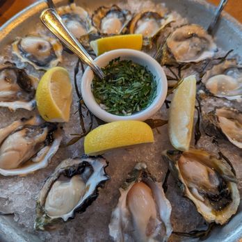 The Trident - Oysters soon good - Seafood Near Me - Sausalito, California The Trident - Oysters soon good - Seafood Near Me - Sausalito, California