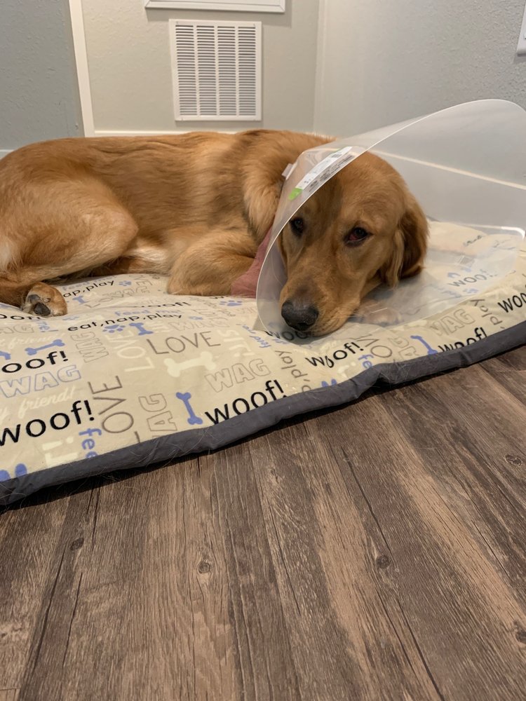 LINDER PET MEDICAL CARE 23 Photos & 27 Reviews 3150 W Sheryl Dr, Meridian, Idaho