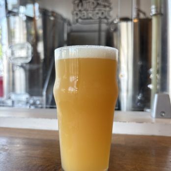 Wild Parrot Brewing Company - Hazy IPA - Breweries Near Me - Pasadena, California Wild Parrot Brewing Company - Hazy IPA - Breweries Near Me - Pasadena, California