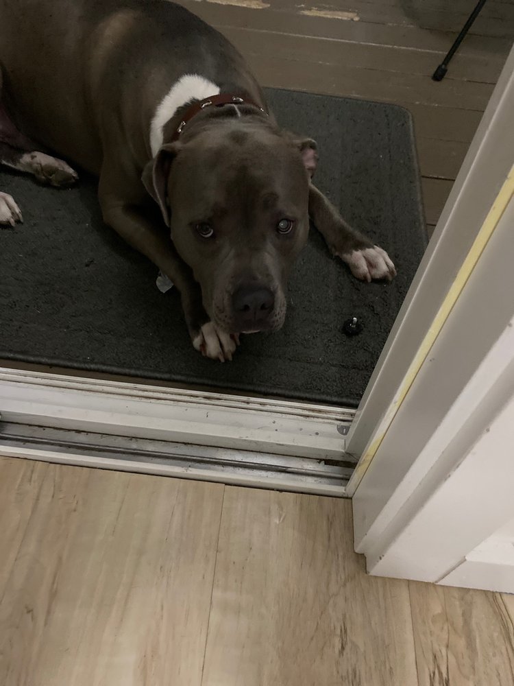 TREASURE AUTO SALES Updated August 2024 22 Reviews 20115