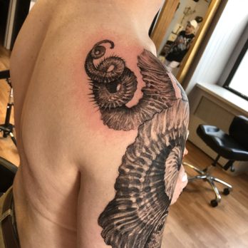 Black Fish Tattoo - Rest of the ammonite spiral - Tattoo Near Me - New York, New York Black Fish Tattoo - Rest of the ammonite spiral - Tattoo Near Me - New York, New York