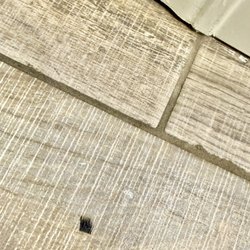 Eyelash on the kitchen floor
