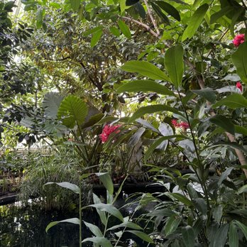 Como Park Zoo and Conservatory - Zoos Near Me - Saint Paul, Minnesota Como Park Zoo and Conservatory - Zoos Near Me - Saint Paul, Minnesota