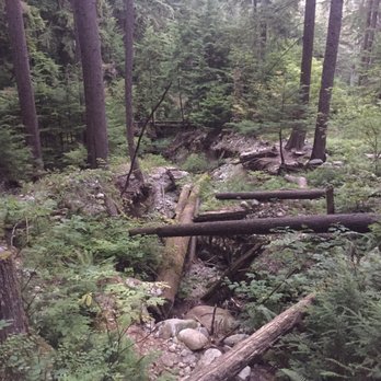 Lynn Headwaters Regional Park - Parks Near Me - North Vancouver, British Columbia Lynn Headwaters Regional Park - Parks Near Me - North Vancouver, British Columbia