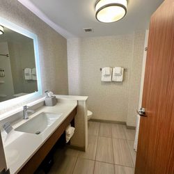 Holiday Inn Express & Suites Gainesville I-75 - Large bathroom