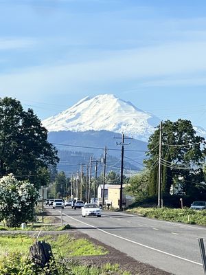 Twin Peaks Drive In by null