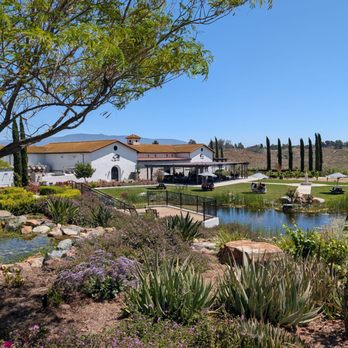 Truffle Pig Winery & Vineyards - Wineries Near Me - Temecula, California