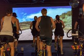 The Projector Guys by null