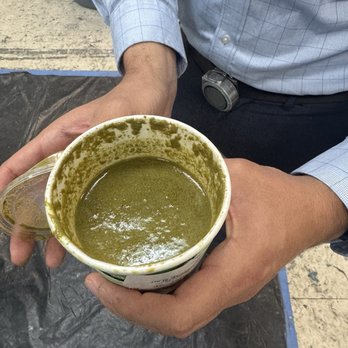 Tastea - Hot Matcha looks like baby poop - Bubble Tea Near Me - Torrance, California Tastea - Hot Matcha looks like baby poop - Bubble Tea Near Me - Torrance, California