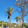 Photo of Canyon Creek Plaza