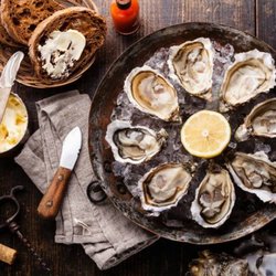 Patio Italian Kitchen - THE FRESHEST OYSTERS