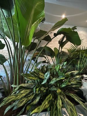 Project Seoul by null