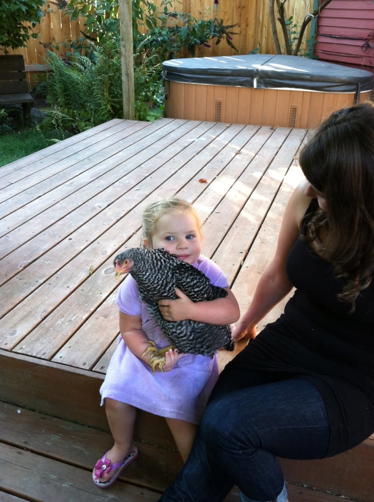 Mighty Oaks Preschool - childcare center in Portland, OR