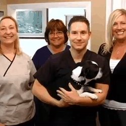 David M Miraglia, DDS