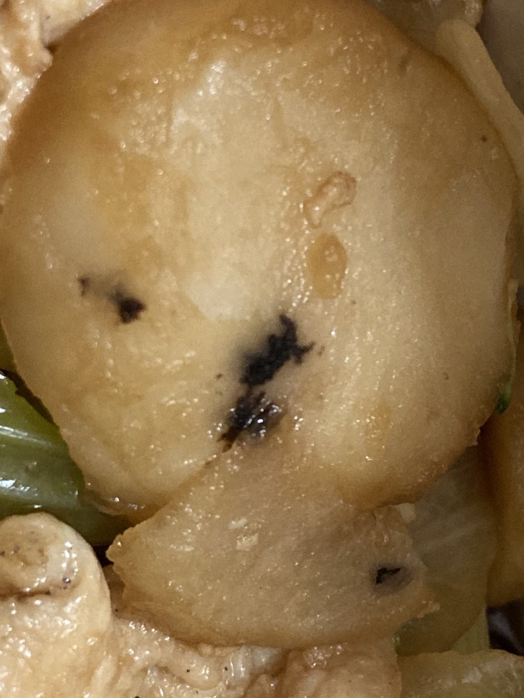 HONG KONG RESTAURANT Updated September 2024 1420 S Caraway Rd