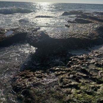 Windansea Beach - Beaches Near Me Windansea Beach - Beaches Near Me