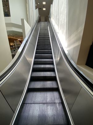 Saks Fifth Avenue by null