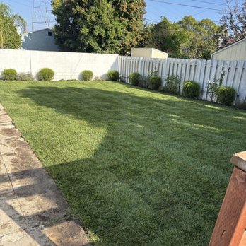Mendez  Tree Services - Landscaping Near Me