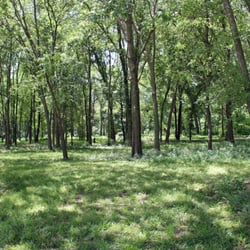 Al Ruschhaupt Soccer Complex