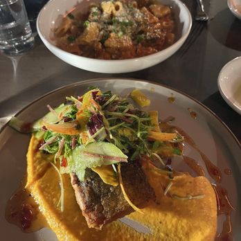 Bar Lucca - Salmon dish and short rib rigatoni - Italian Near Me - Conshohocken, Pennsylvania