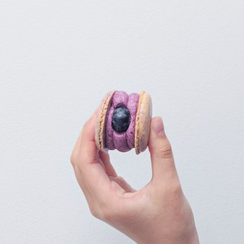 The Social Blend - Blueberry Cheesecake - Coffee & Tea Near Me - Toronto, Ontario