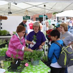 Clarksville Downtown Market - Clarksville Downtown Market 2016