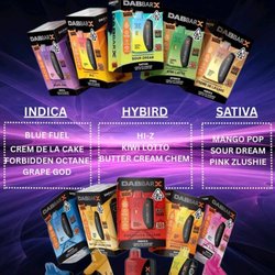 2G DISPOSABLES MULTIPLE FLAVORS AVAILABLE