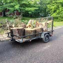 Alex Landscaping and Tree Trimming Service