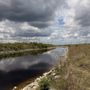 Photo of Everglades and Francis S. Taylor Wildlife Management Area