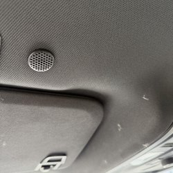Hertz Rent A Car - Even had seeds stuck to ceiling.