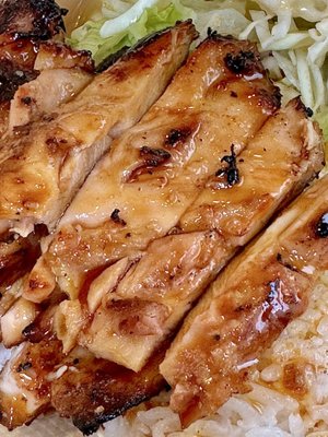 Nikko Teriyaki by null