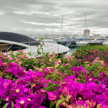 RITZI - Mediterranean Near Me - Puerto Portals, PM RITZI - Mediterranean Near Me - Puerto Portals, PM