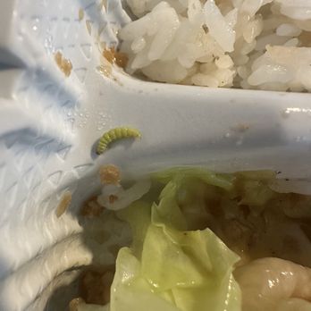 Ramen 101 - This looks like a worm or caterpillar - Hawaiian Near Me - Stockton, California