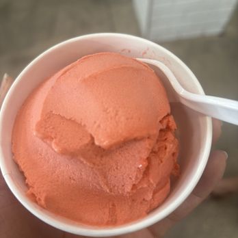Kilwins Ice Cream - Chocolate - Fudge - Raspberry sorbetto - Desserts Near Me - Pompano Beach, Florida